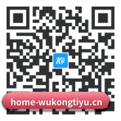 系统版 Android 二维码